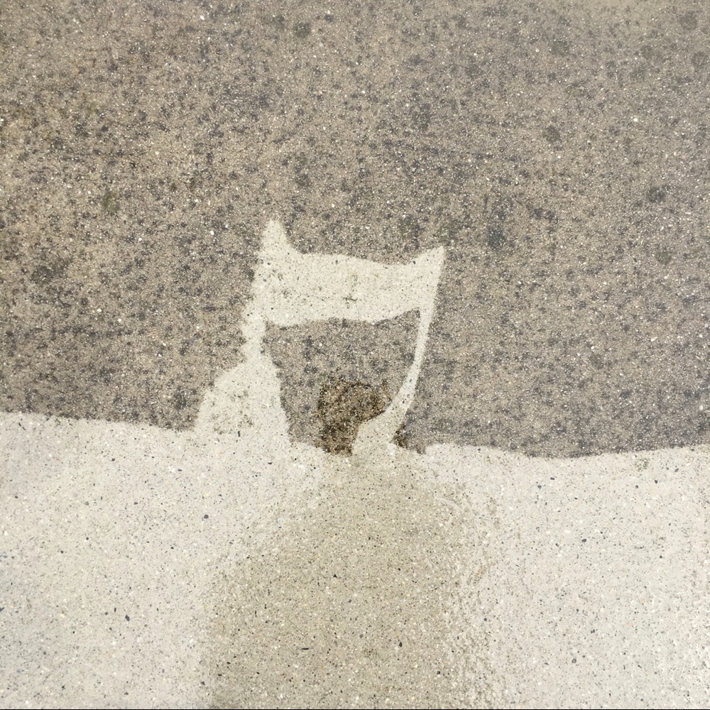 Meet Your Posher, Erwin.